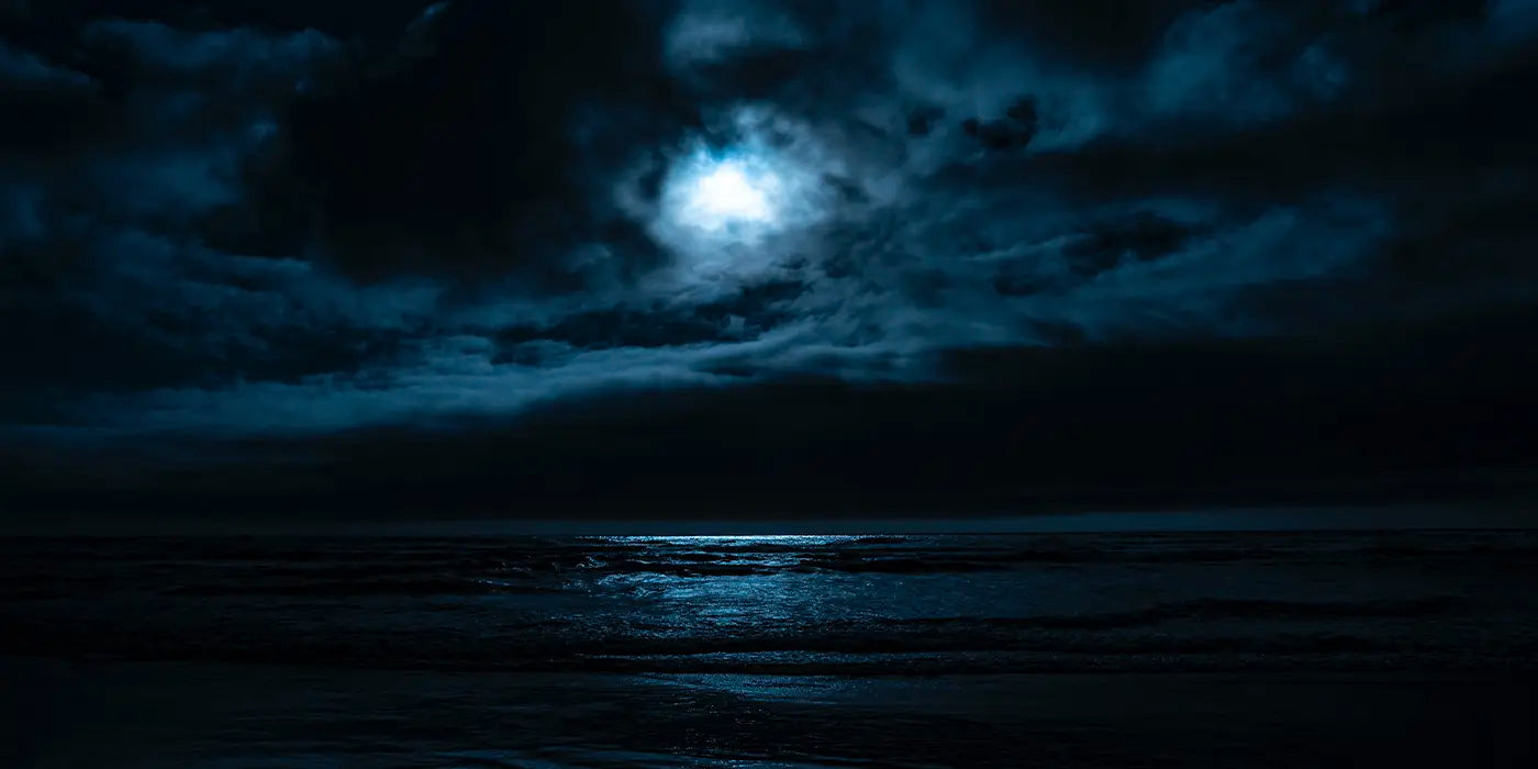 Die Magie der Nacht: Tauchen im Dunkeln erleben