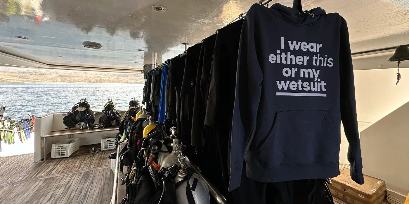 Was du über Tauchsafaris wissen musst