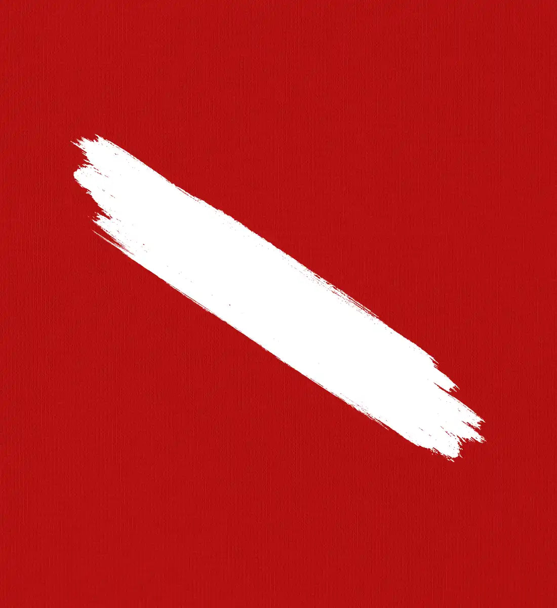 Taucherflagge - 100 % Bio T-Shirt
