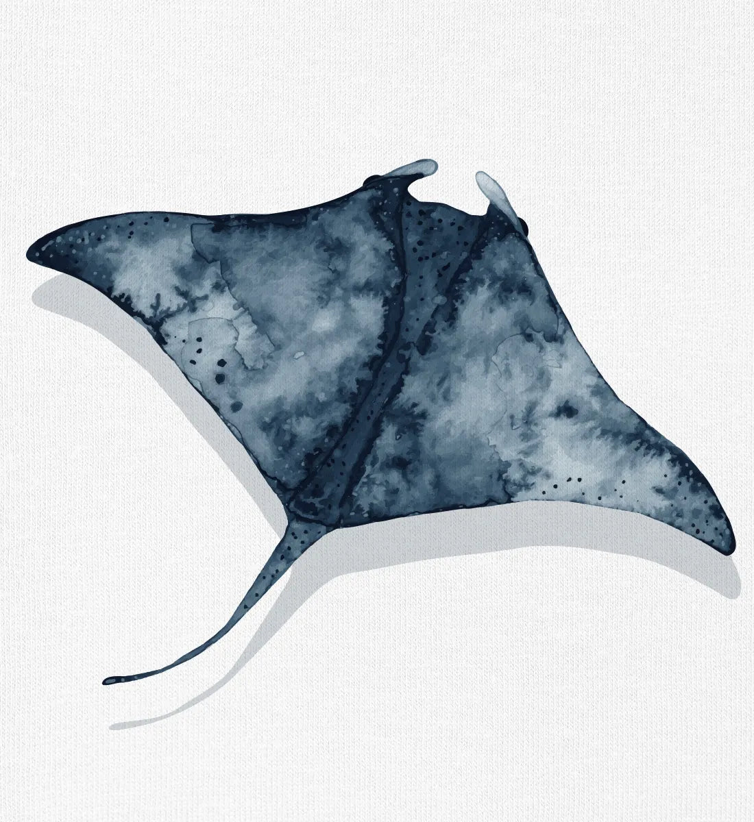 Manta - Bio Frauen T-Shirt